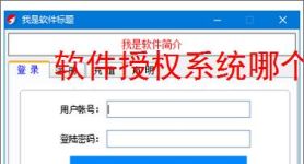 软件授权系统哪个好？2025年主流方案对比
