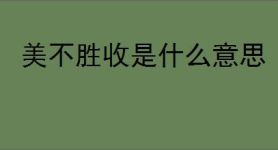 下一站江湖2双修府怎么加入-下一站江湖2双修府加入方法_游侠手游