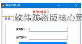 软件防盗版核心策略：五大防护技术解析